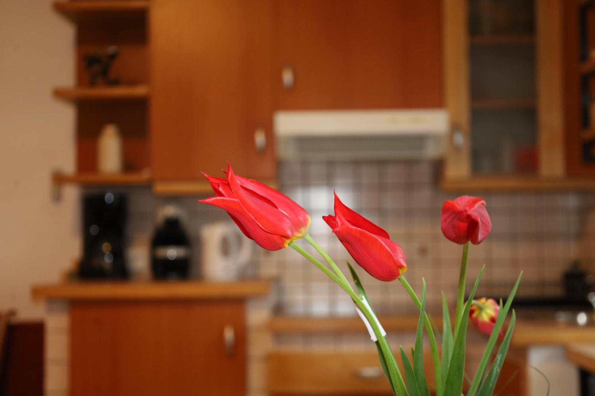Apartment Norma Bovec Buitenkant foto